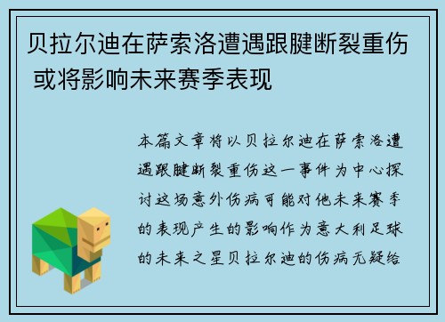 贝拉尔迪在萨索洛遭遇跟腱断裂重伤 或将影响未来赛季表现
